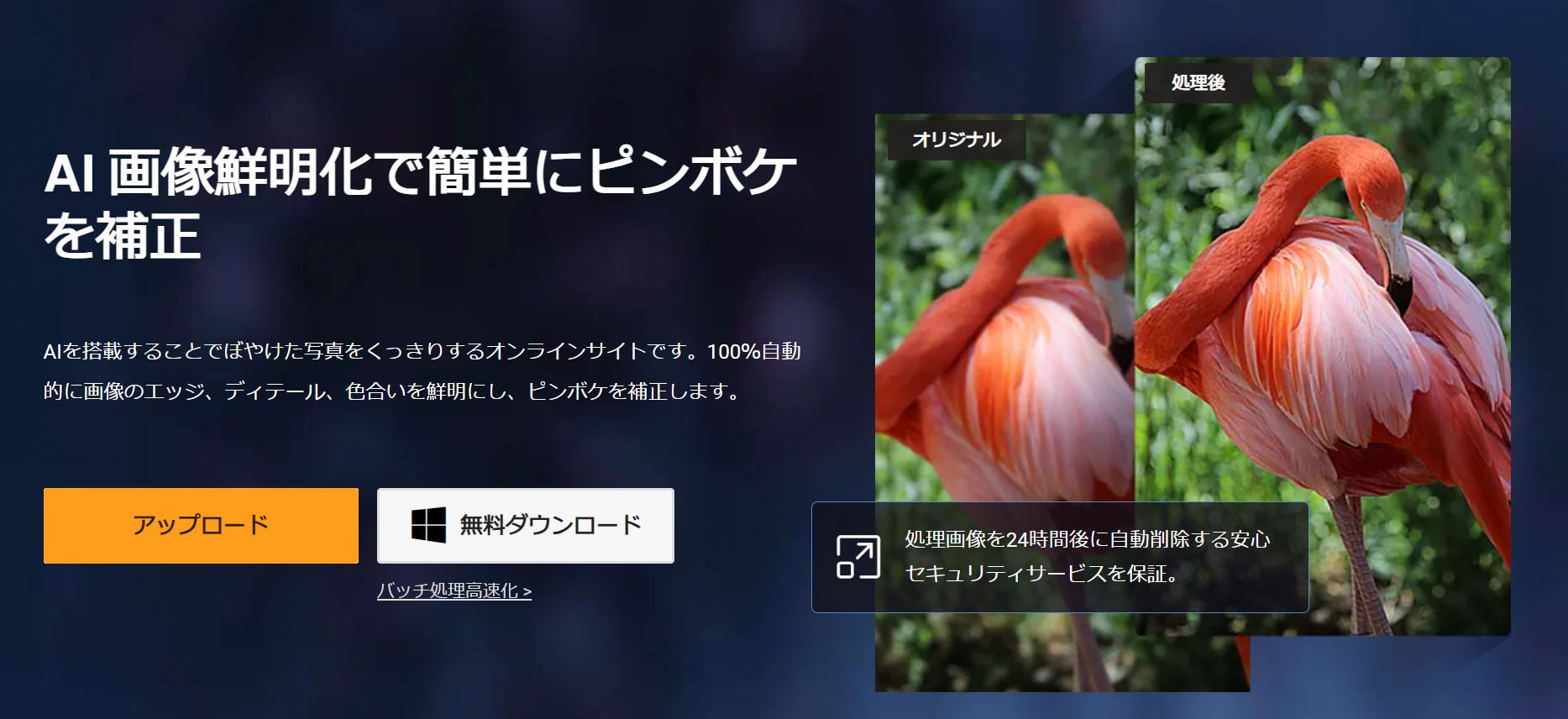 画質を改善するツール2 VanceAI画像鮮明化